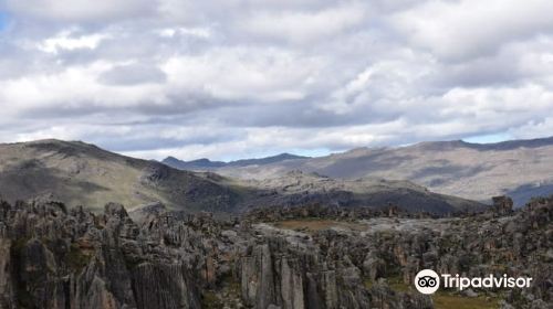 Hatun Machay Rock Forest