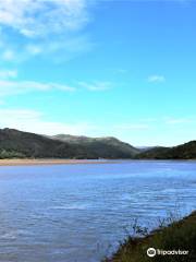 RSPB Mawddach Valley - Arthog Bog