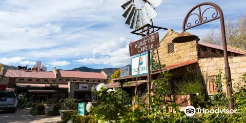 Blou Donki Art Gallery