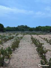 Parque Natural De Torrevieja