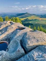 Painted Rock Stone