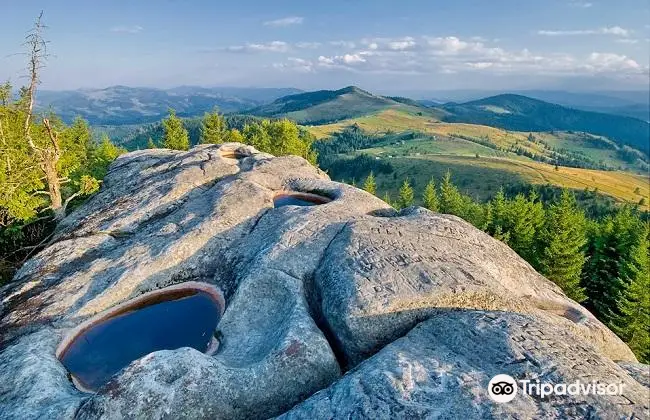 Painted Rock Stone