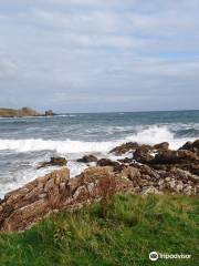 Berwickshire Coastal Path