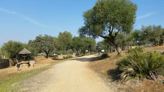 Parque Periurbano Los Cabezos