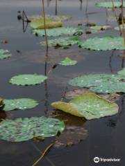 カンピング・プイ貯水池