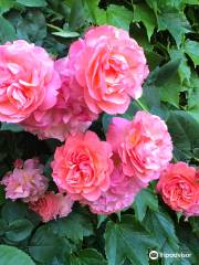 Ishida Rose Garden