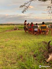 Krisha African Safaris