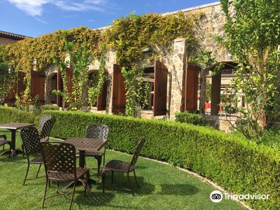 Jacuzzi Family Vineyards