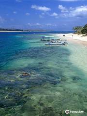 Gili Rengit