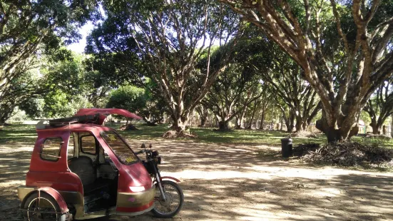 National Mango Research and Development Center