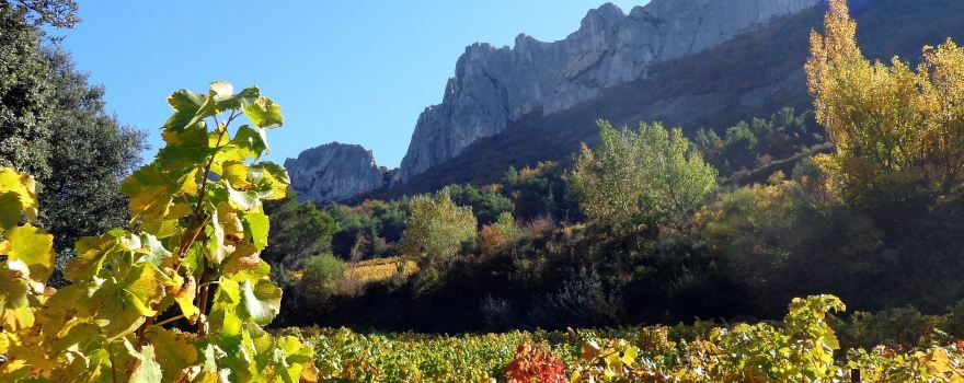 Moulin de la Gardette