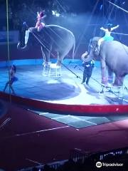 Shrine Circus