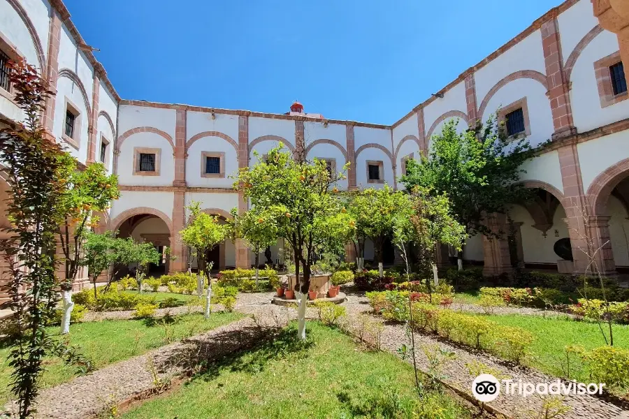 Pedro Coronel Museum (Museo de Pedro Coronel)