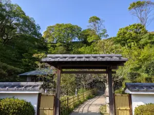 蓮華寺池公園