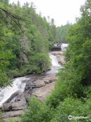 DuPont State Recreational Forest