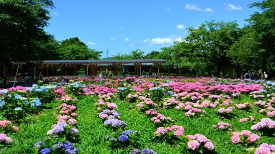Kasui Yuri-no-en Lilium Flower Garden