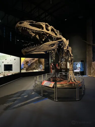 Egidio Feruglio Paleontological Museum