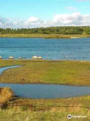 RSPB Dearne Valley - Old Moor