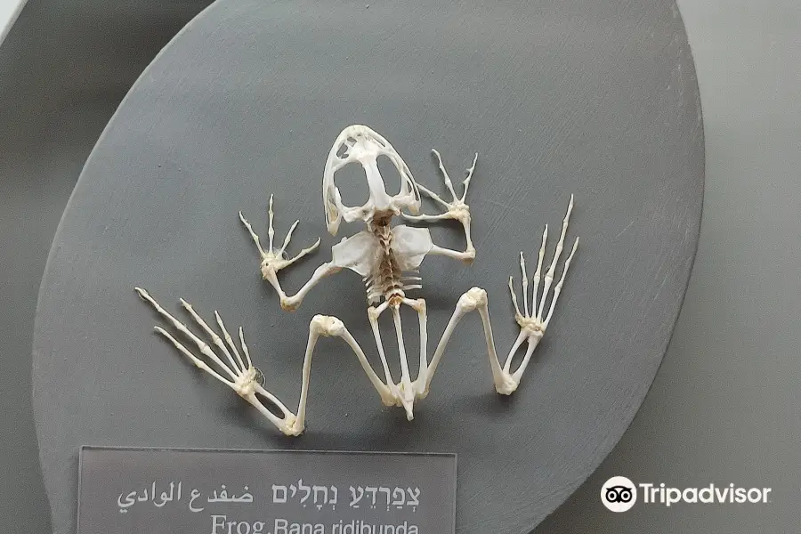 Beit Ussishkin Nature Museum