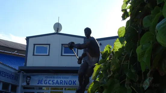 Gabor jr. Ocskay Ice Arena