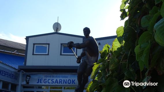 Gabor jr. Ocskay Ice Arena