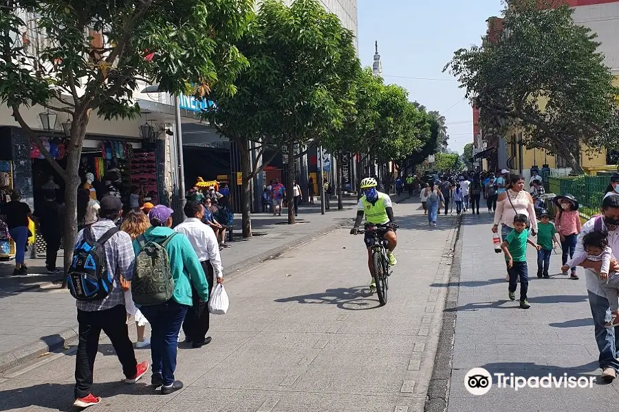 Paseo De La Sexta