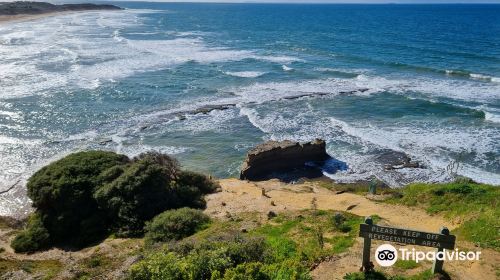 Bird Rock Lookout