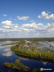 Viewing Point Venets