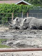 Chahinkapa Zoo