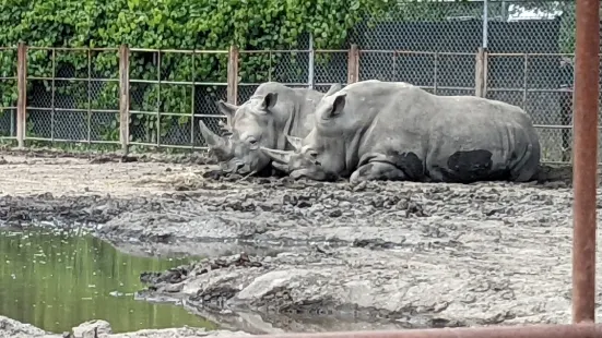 Chahinkapa Zoo