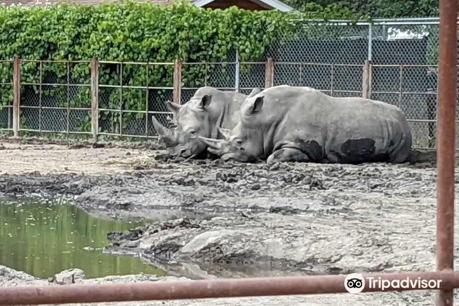 Chahinkapa Zoo