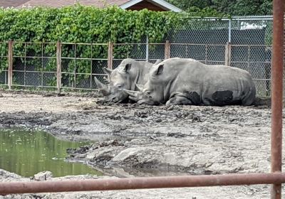 Chahinkapa Zoo