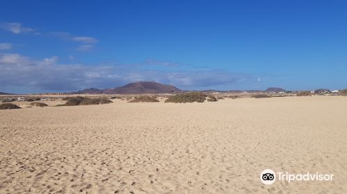 Flag Beach