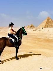 Ride Egypt