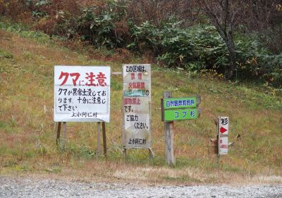 Kamiouchisawa Nature Observation Training Forest