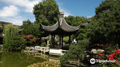 Lan Su Chinese Garden