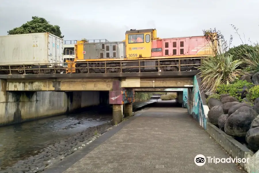 Pukeariki Landing