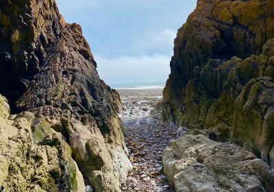Port Eynon