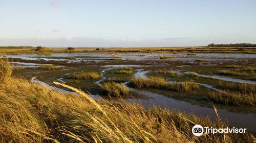 RSPB Pagham Harbour LNR