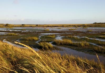 Pagham Harbour Local Nature Reserve