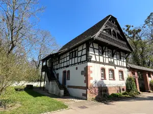 Saint Mary Park of Nancy