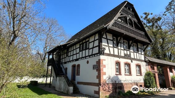 Saint Mary Park of Nancy