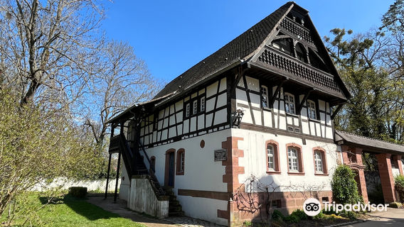 Saint Mary Park of Nancy