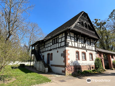 Saint Mary Park of Nancy
