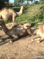 Zanzibar Land Animal Park (ZALA)