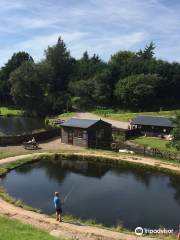New Mills Trout Fishing Park