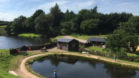 New Mills Trout Fishing Park