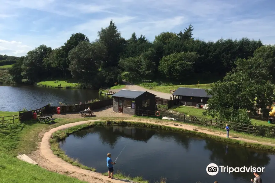 New Mills Trout Fishing Park