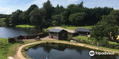 New Mills Trout Fishing Park