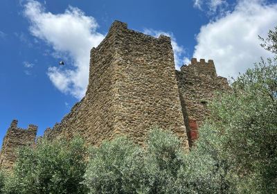 Castello di Montecchio Vesponi